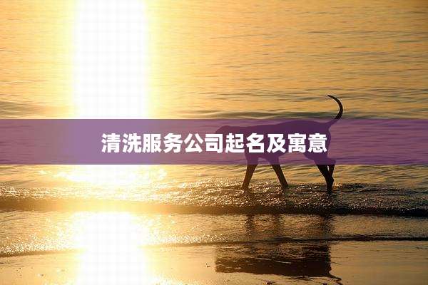 清洗服务公司起名及寓意