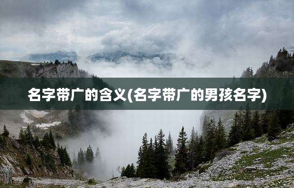 名字带广的含义(名字带广的男孩名字)