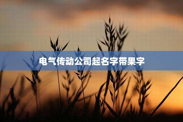 电气传动公司起名字带果字