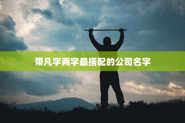 带凡字两字最搭配的公司名字