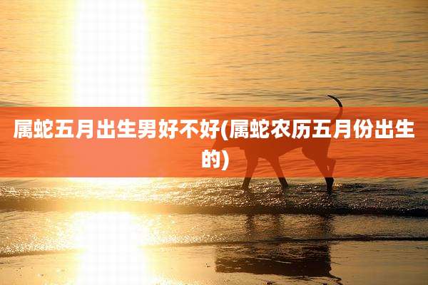属蛇五月出生男好不好(属蛇农历五月份出生的)