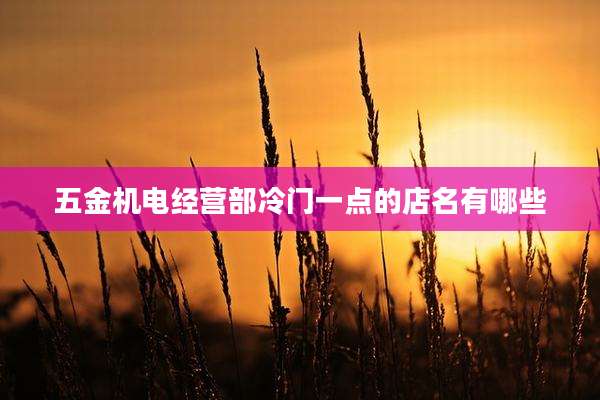 五金机电经营部冷门一点的店名有哪些