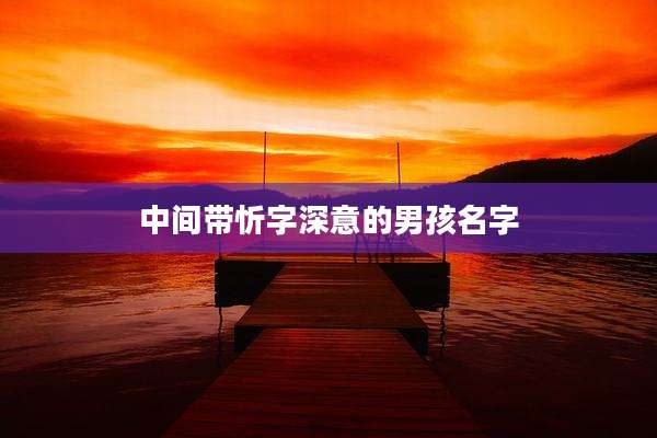 中间带忻字深意的男孩名字
