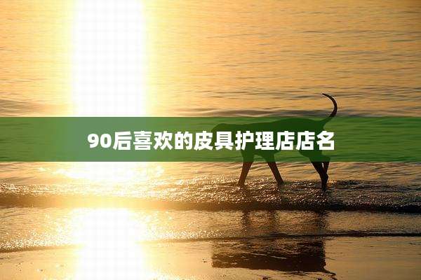 90后喜欢的皮具护理店店名