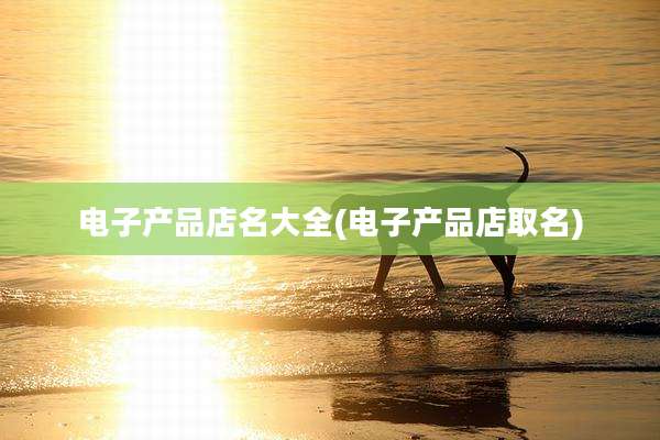 电子产品店名大全(电子产品店取名)