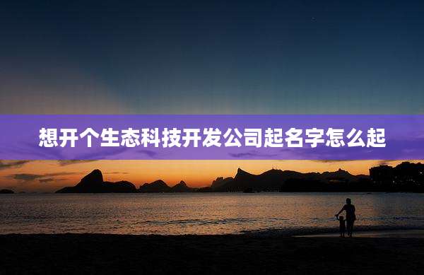 想开个生态科技开发公司起名字怎么起