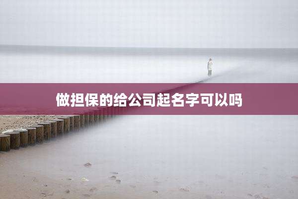 做担保的给公司起名字可以吗