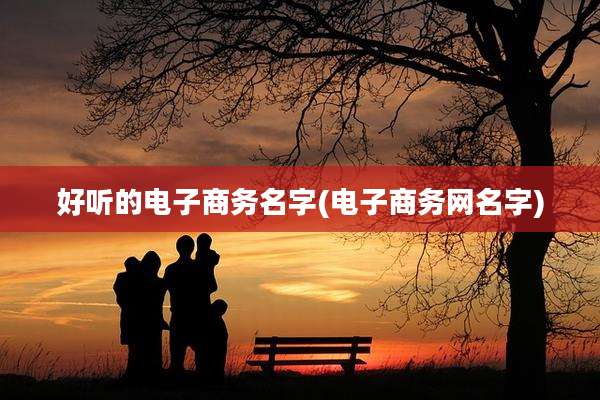 好听的电子商务名字(电子商务网名字)