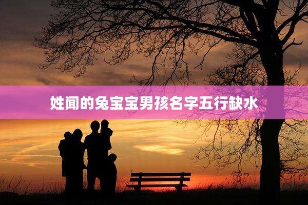 姓闻的兔宝宝男孩名字五行缺水