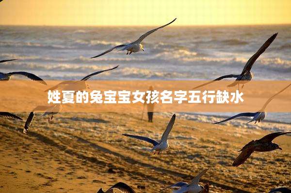 姓夏的兔宝宝女孩名字五行缺水