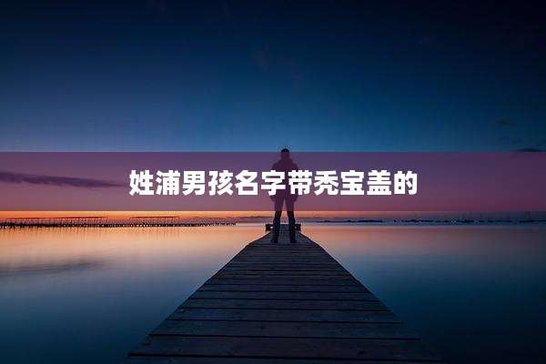 姓浦男孩名字带秃宝盖的