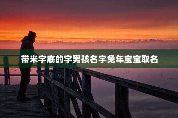 带米字底的字男孩名字兔年宝宝取名