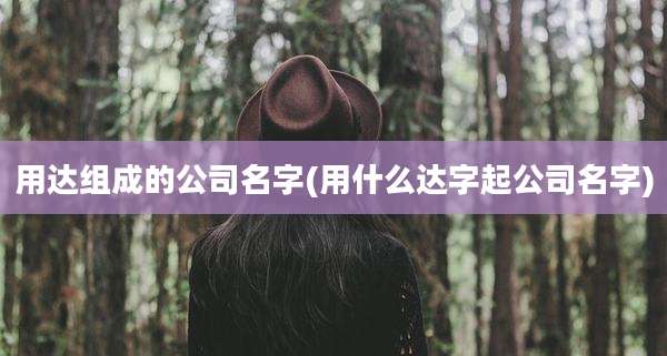 用达组成的公司名字(用什么达字起公司名字)