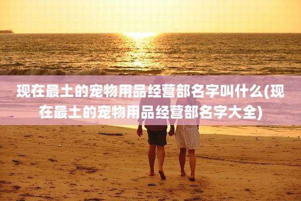 现在最土的宠物用品经营部名字叫什么(现在最土的宠物用品经营部名字大全)