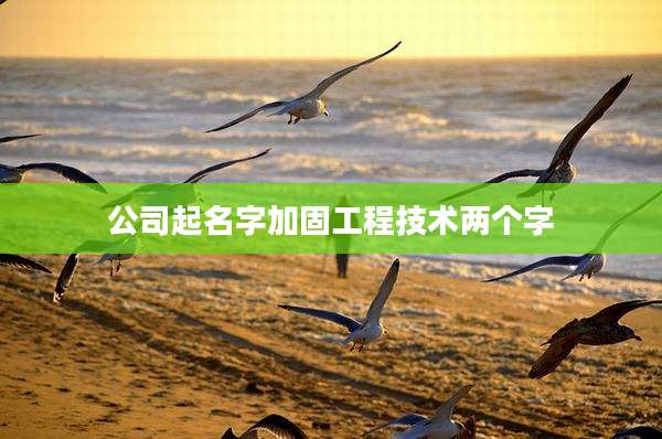 公司起名字加固工程技术两个字