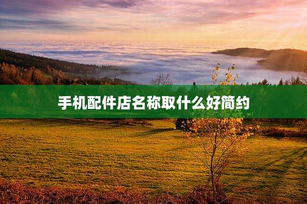 手机配件店名称取什么好简约
