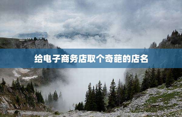 给电子商务店取个奇葩的店名