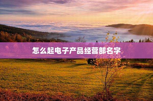 怎么起电子产品经营部名字