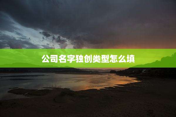 公司名字独创类型怎么填