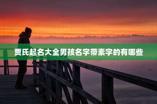 贾氏起名大全男孩名字带素字的有哪些