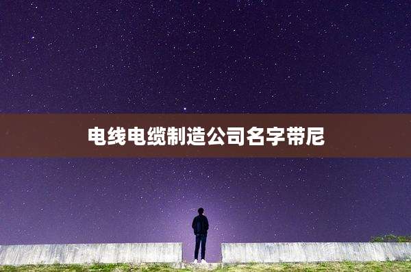 电线电缆制造公司名字带尼