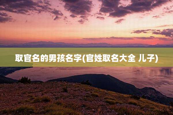 取官名的男孩名字(官姓取名大全 儿子)