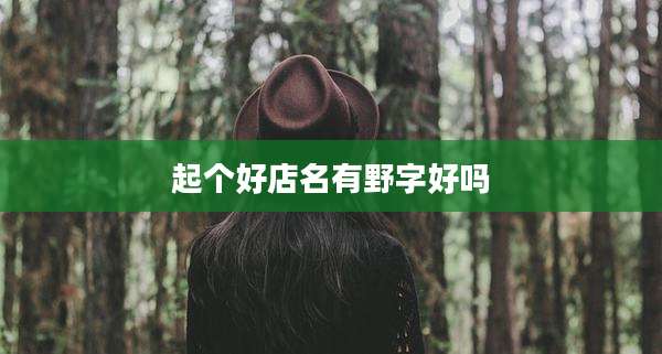 起个好店名有野字好吗