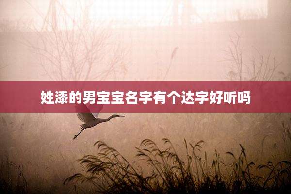 姓漆的男宝宝名字有个达字好听吗