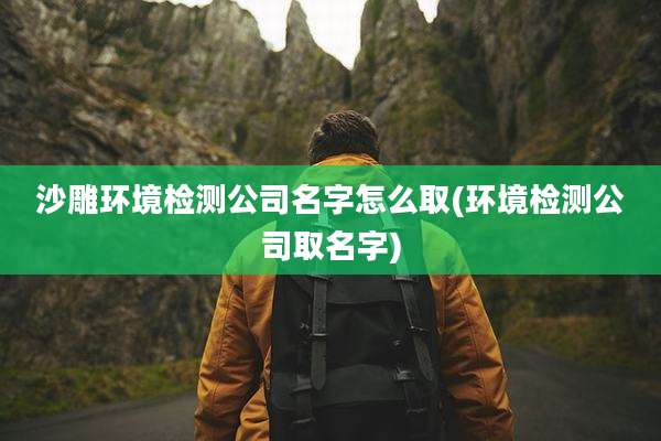 沙雕环境检测公司名字怎么取(环境检测公司取名字)