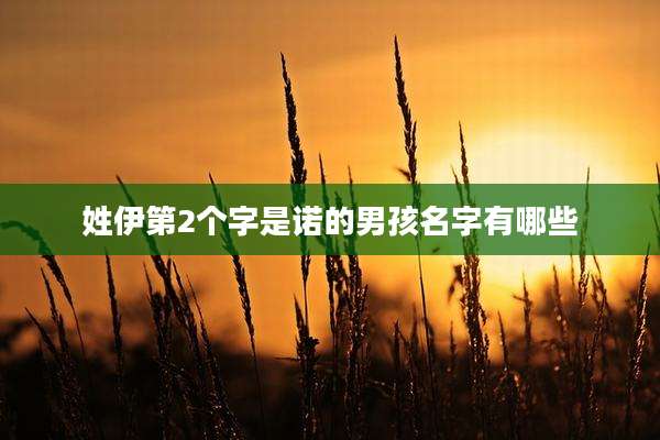 姓伊第2个字是诺的男孩名字有哪些