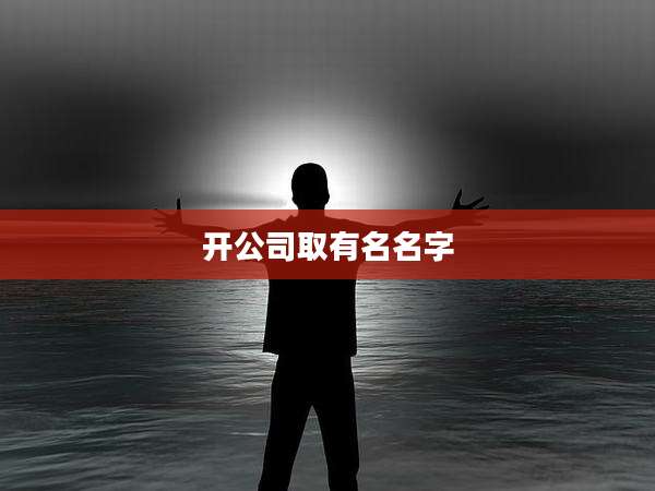 开公司取有名名字