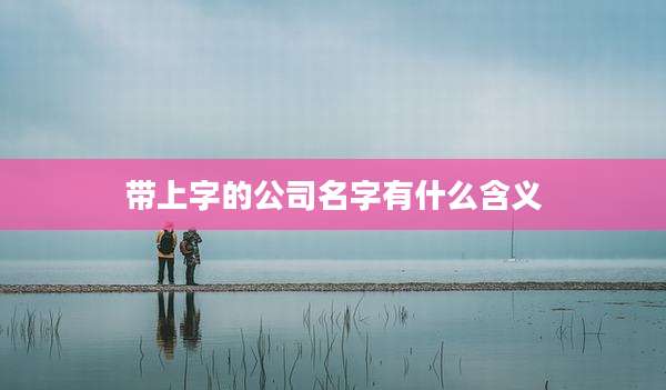 带上字的公司名字有什么含义