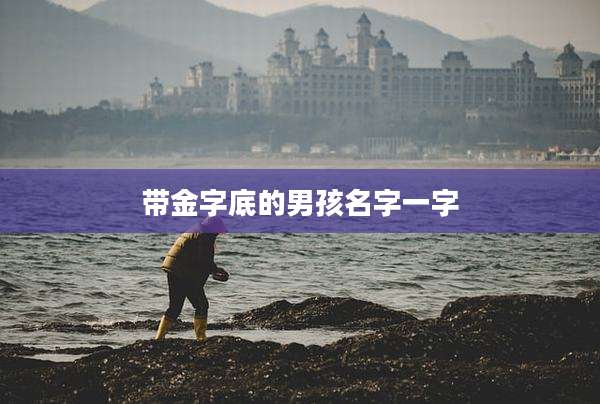 带金字底的男孩名字一字