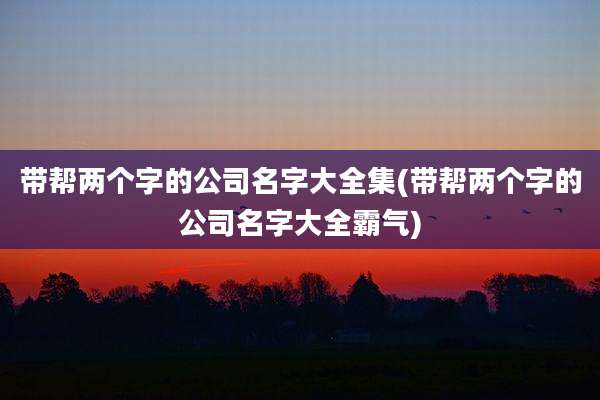 带帮两个字的公司名字大全集(带帮两个字的公司名字大全霸气)