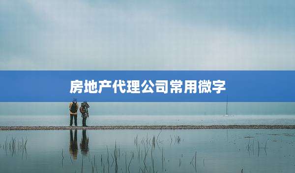 房地产代理公司常用微字