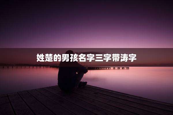 姓楚的男孩名字三字带涛字