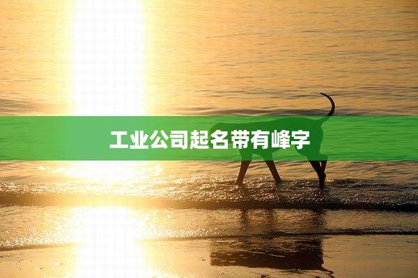 工业公司起名带有峰字