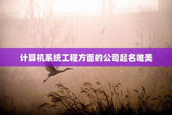 计算机系统工程方面的公司起名唯美