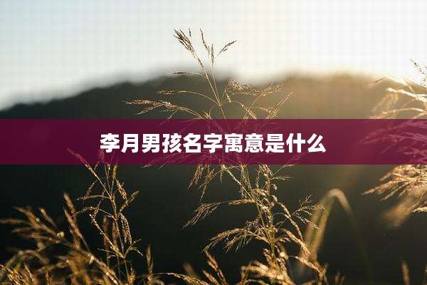 李月男孩名字寓意是什么
