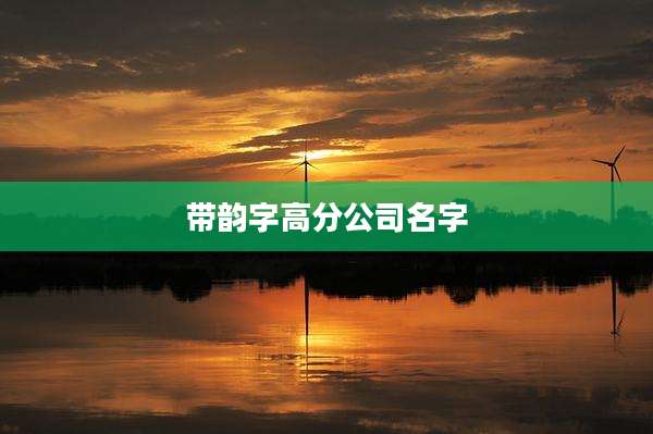 带韵字高分公司名字