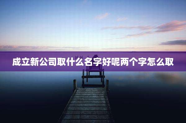 成立新公司取什么名字好呢两个字怎么取