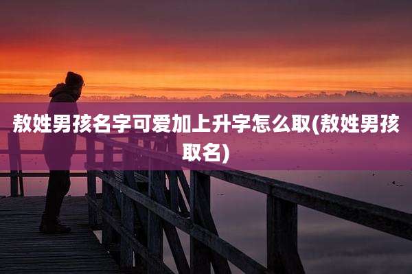 敖姓男孩名字可爱加上升字怎么取(敖姓男孩取名)