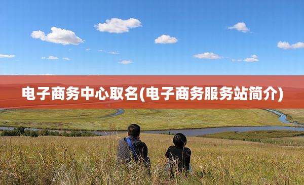 电子商务中心取名(电子商务服务站简介)