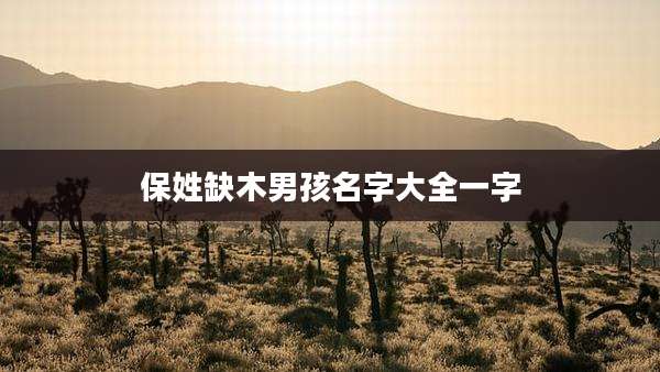 保姓缺木男孩名字大全一字