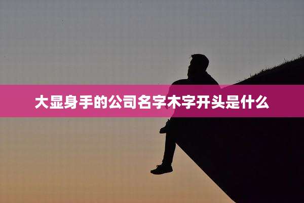 大显身手的公司名字木字开头是什么