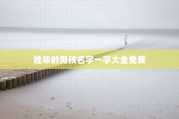 姓毕的男孩名字一字大全免费