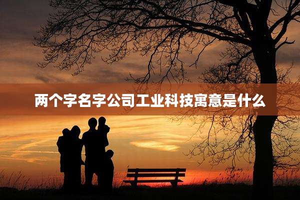 两个字名字公司工业科技寓意是什么