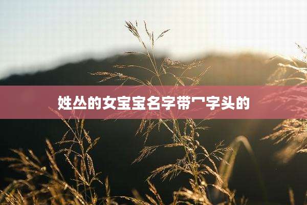 姓丛的女宝宝名字带冖字头的