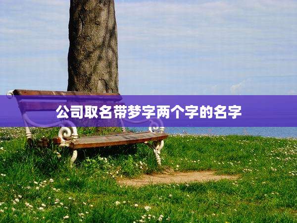 公司取名带梦字两个字的名字