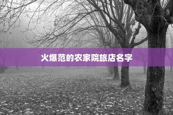 火爆范的农家院旅店名字